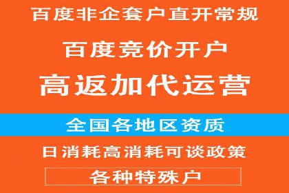 某某SEM团队成功案例：广告投放策略揭秘